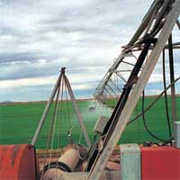 Photograph of crop irrigation