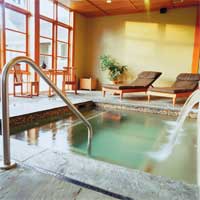 Photograph of indoor pool & spa